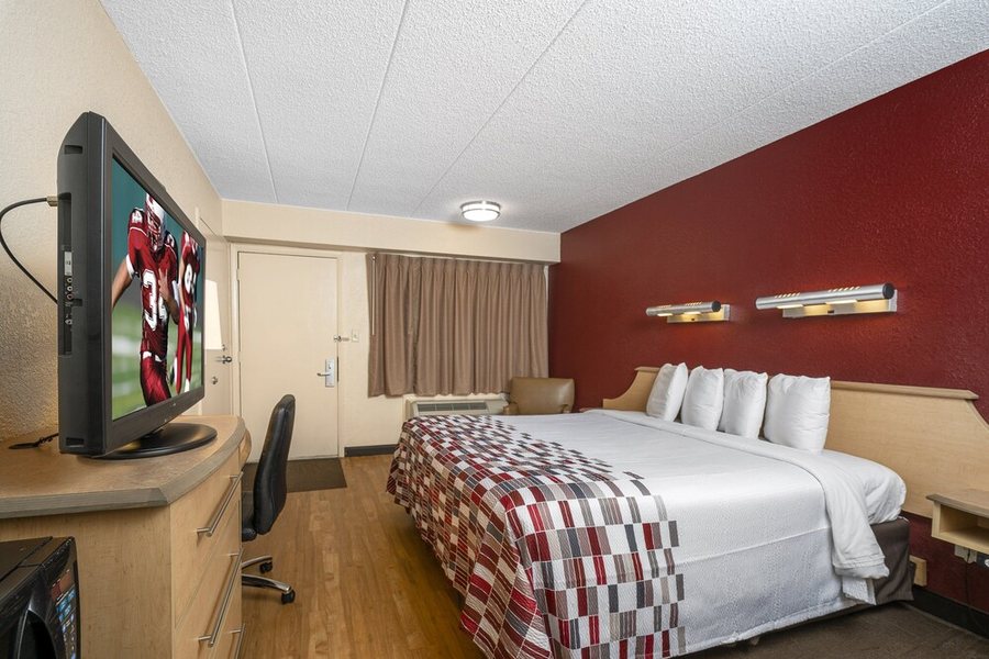 Red Roof Inn Tampa Fairgrounds Casino — Guest room