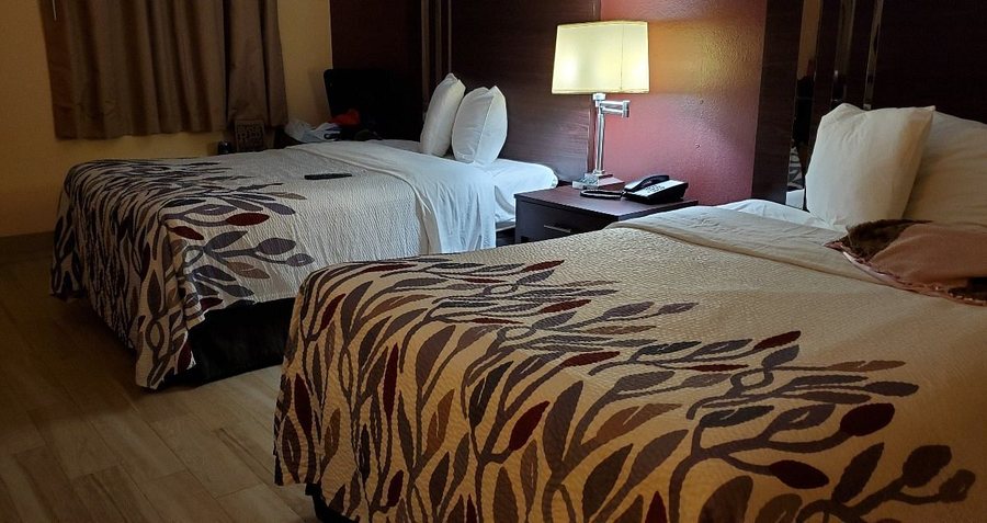 Red Roof Inn Valdosta University — Guest room