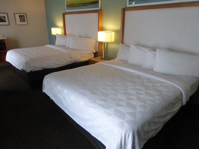 Red Roof PLUS Suites Tampa — Guest room