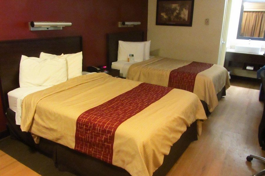 Red Roof PLUS University at Buffalo Amherst — Guest room