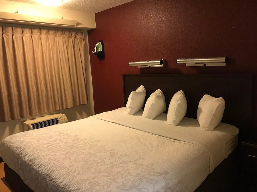 Red Roof PLUS Wilmington — Guest room