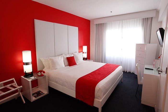 Red South Beach Hotel Miami Beach Florida — Guest room