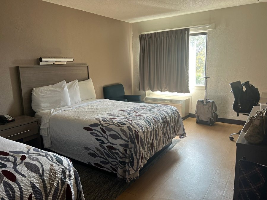 Red Tree Inn — Guest room