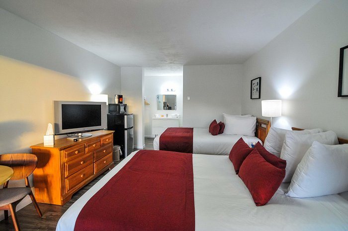 Regency Inn Suites — Guest room