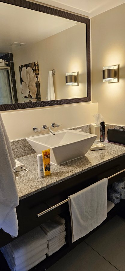 Regency on Beachwalk Waikiki by OUTRIGGER — Bathroom