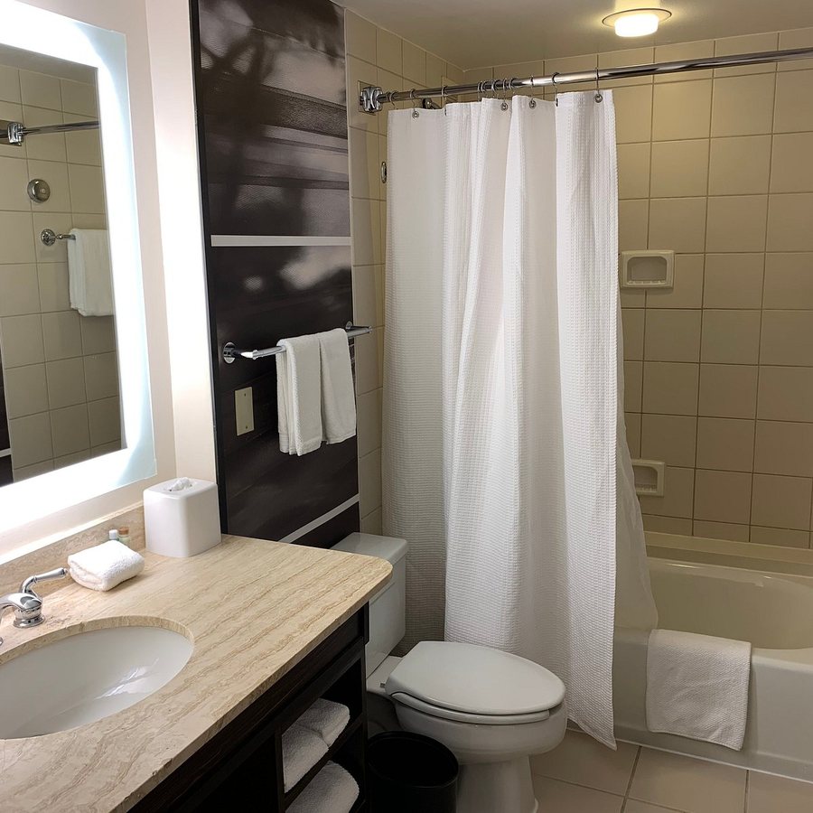 Renaissance Atlanta Waverly Hotel Convention Center — Bathroom