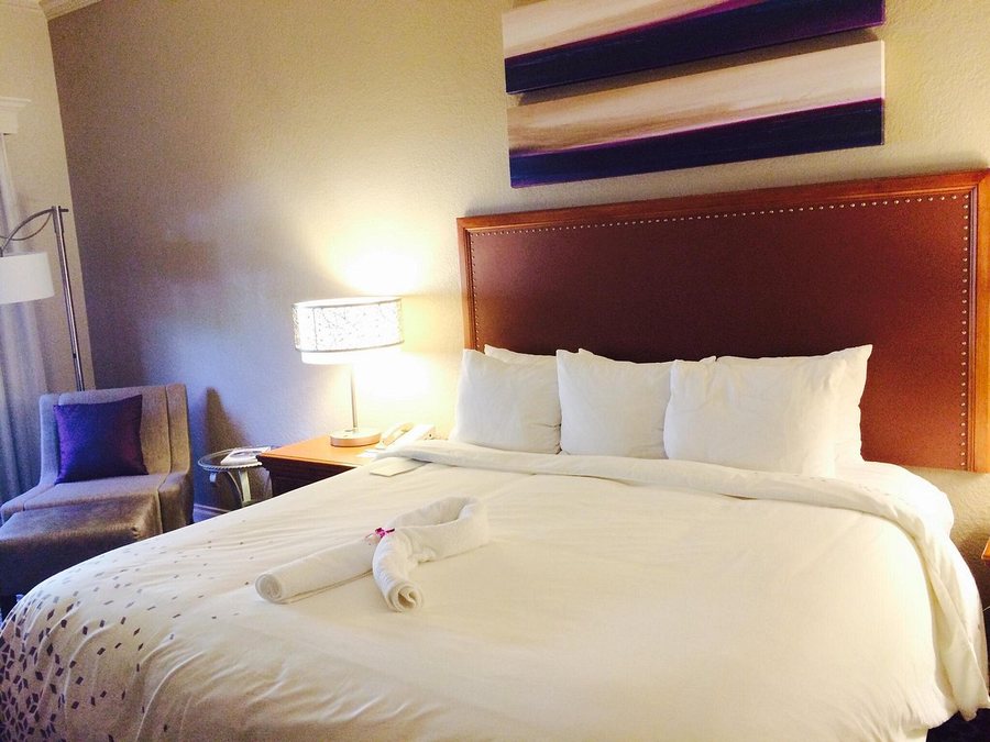 Renaissance Boca Raton Hotel — Guest room
