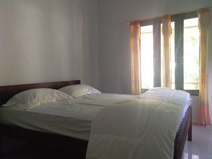 Renny s Tangkoko Safety Stop — Guest room