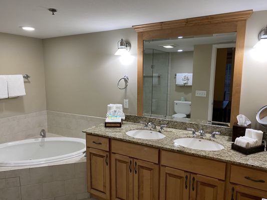 Residence Inn by Marriott Asheville Biltmore — Bathroom