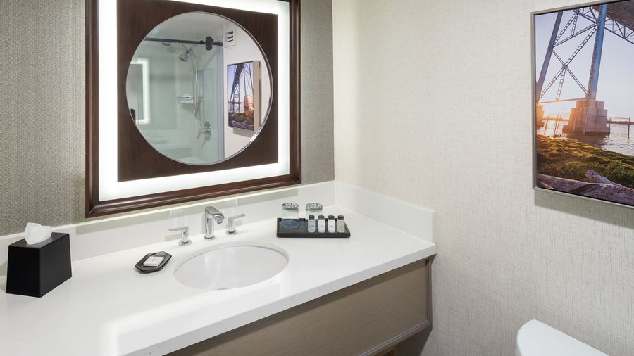 Residence Inn by Marriott Detroit Novi — Bathroom