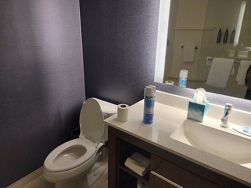 Residence Inn by Marriott Jackson Airport Pearl — Bathroom