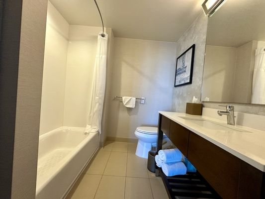 Residence Inn by Marriott Los Angeles L A LIVE Los Angeles California — Bathroom
