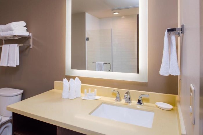 Residence Inn by Marriott New Orleans French Quarter Area Central Business District — Bathroom
