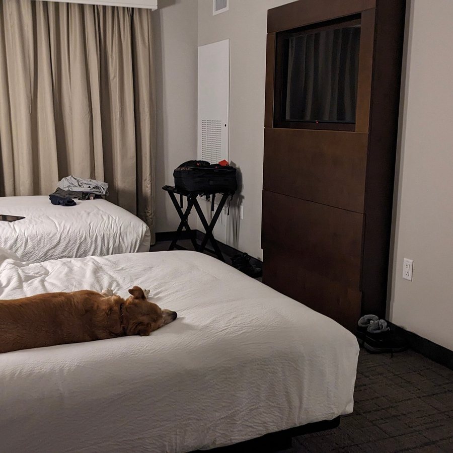 Residence Inn by Marriott Reno South — Guest room