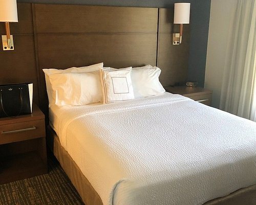 Residence Inn by Marriott Tampa at USF Medical Center — Guest room