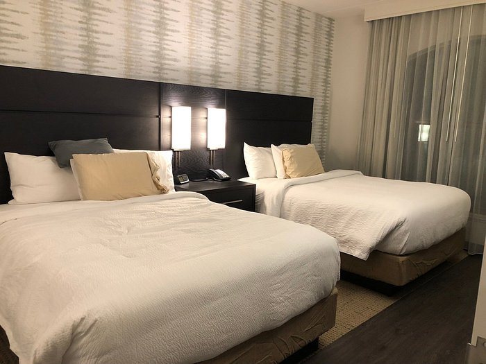 Residence Inn Jacksonville Mayo Clinic Area — Guest room