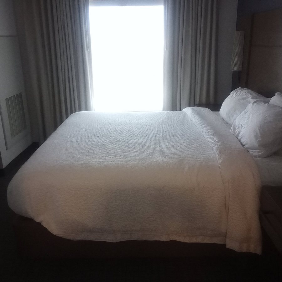 Residence Inn Lubbock University Area — Guest room
