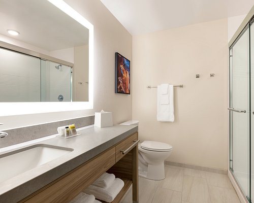 Residence Inn Phoenix Mesa East — Bathroom