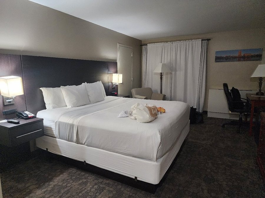 RIT Inn Conference Center — Guest room