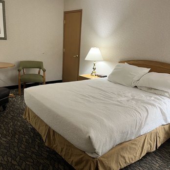 Rivertree Inn Suites — Guest room