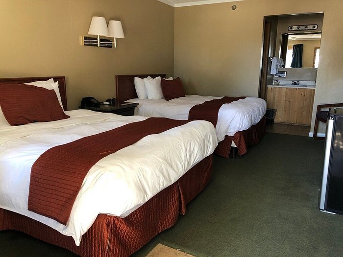 Riviera Motor Lodge — Guest room