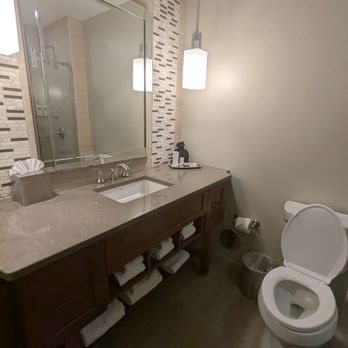 Rizzo Center a Destination by Hyatt Hotel — Bathroom