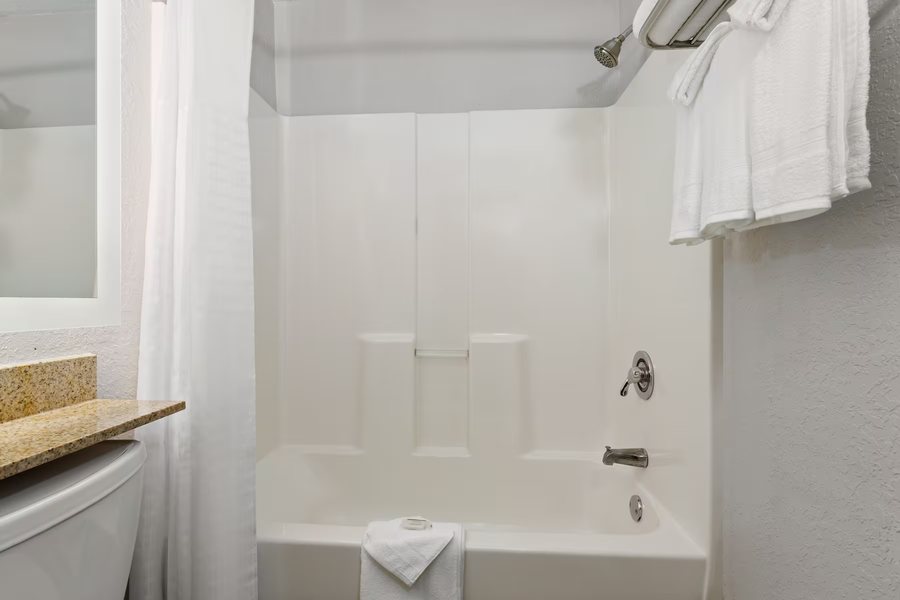 ROADSTAR HOTEL ZEPHYRHILLS — Bathroom