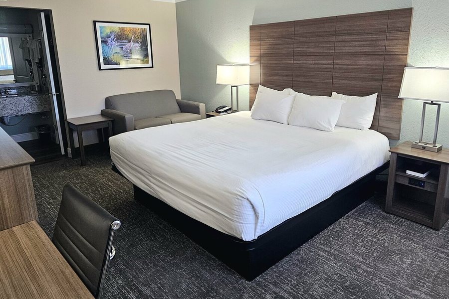 ROADSTAR HOTEL ZEPHYRHILLS — Guest room