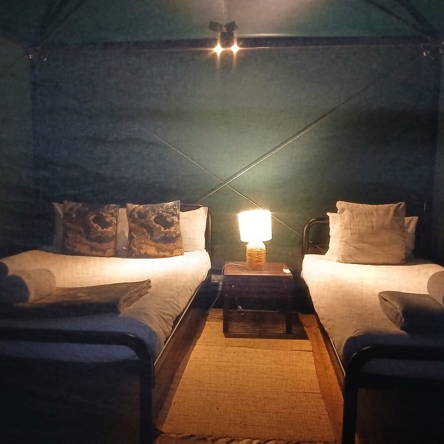 Roar Snore at Taronga — Guest room