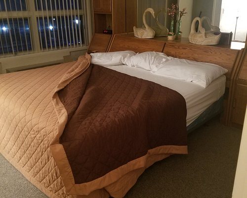 Roark Resort — Guest room