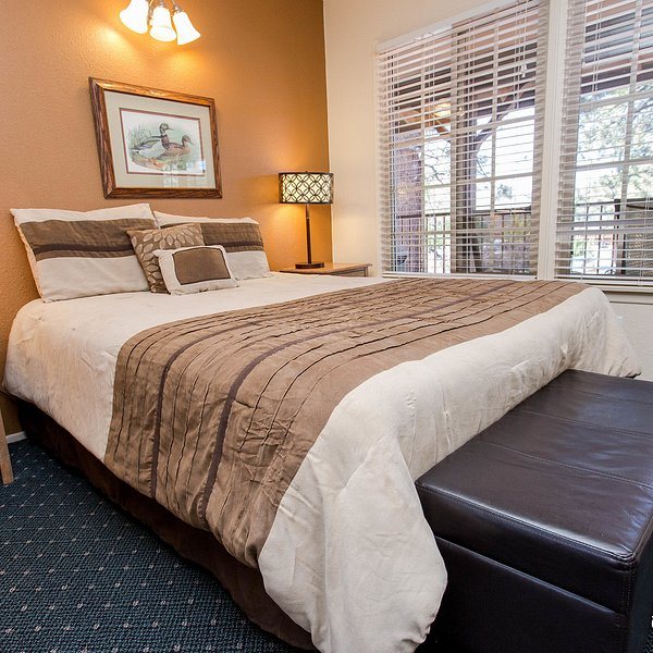 Robinhood Resort — Guest room