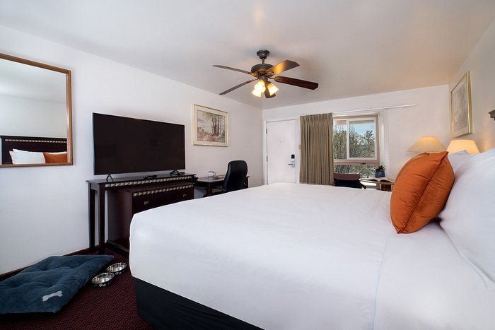 Rockmount Cottages by the River — Guest room