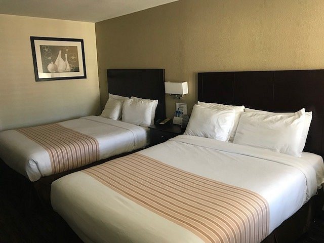 Rodeway Inn Convention Center Los Angeles California — Guest room