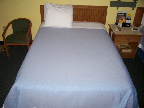 Rodeway Inn Davenport Champions Gate — Guest room