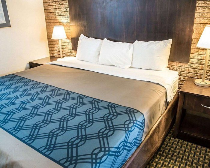 Rodeway Inn Suites Wilmington North — Guest room