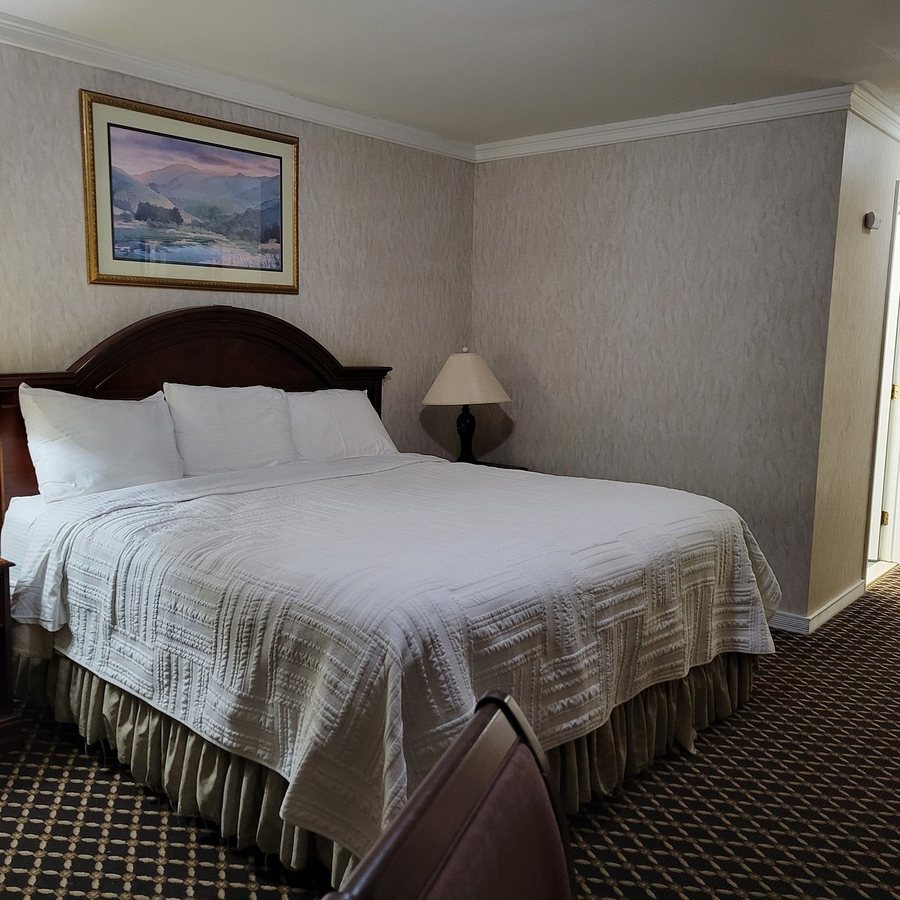Roosevelt Inn Suites — Guest room