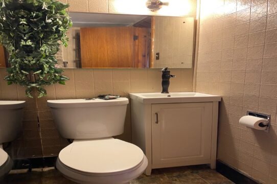 Roundtop Mountain Vista Cabins and Motel — Bathroom