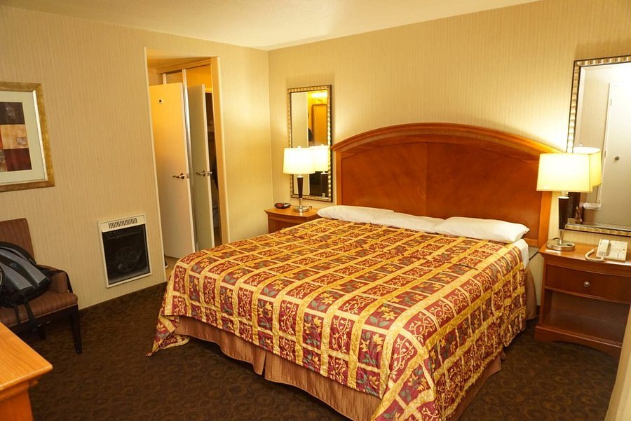Royal Pacific Motor Inn — Guest room