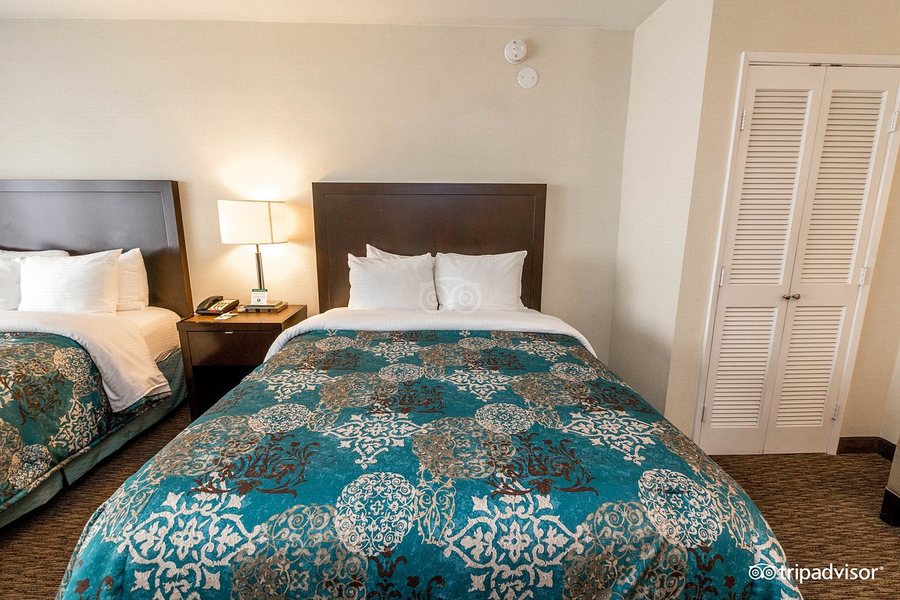 Royal Palace Westwood Los Angeles California — Guest room