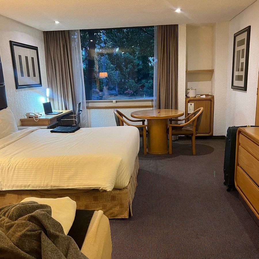 Royal Pedregal — Guest room