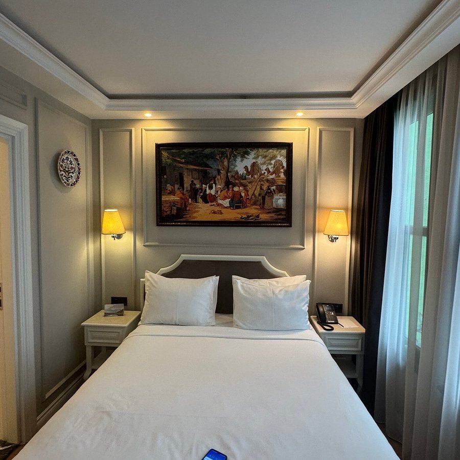 Royan Hotel Hagia Sophia Istanbul A Member Of Radisson Individuals Istanbul — Guest room