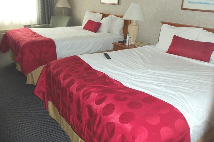 Saco Bay Hotel Saco Old Orchard Beach — Guest room