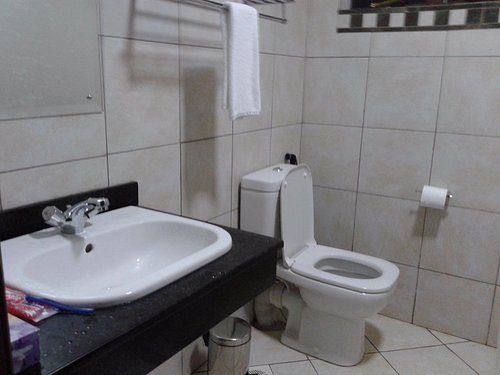 Sagana Getaway Resort — Bathroom
