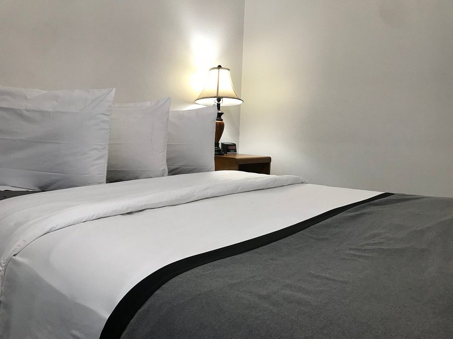 Sage Motel — Guest room