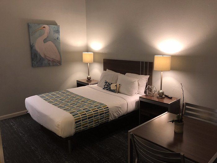 Sand Dollar Inn — Guest room