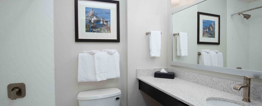 Sandpebble Beach Club Surfside Beach a Ramada by Wyndham — Bathroom
