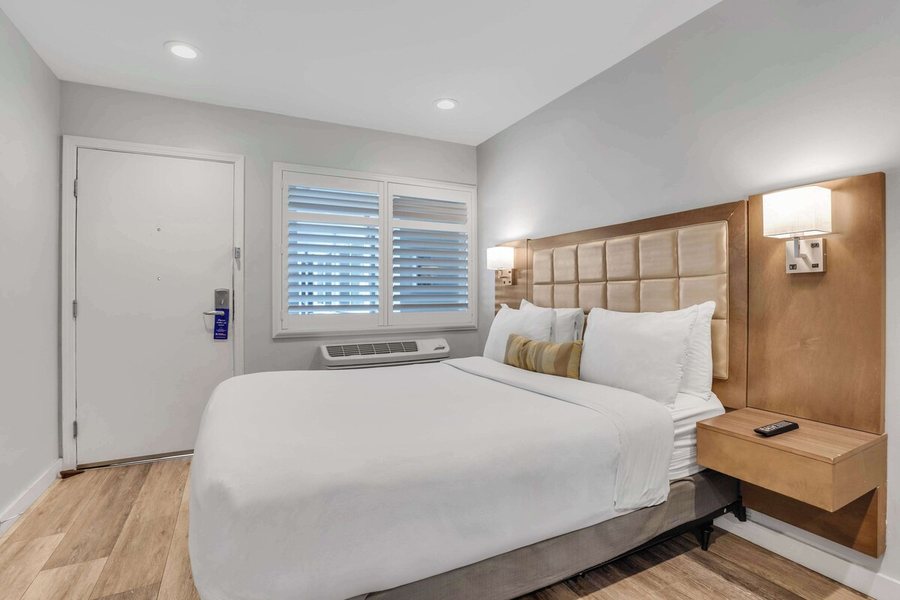 Sather Berkeley SureStay Collection By Best Western — Guest room