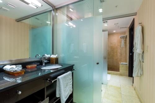 SBV Luxury Ocean Hotel Suites Miami Beach Florida — Bathroom