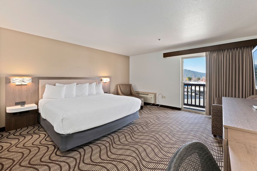 Schweitzer — Guest room