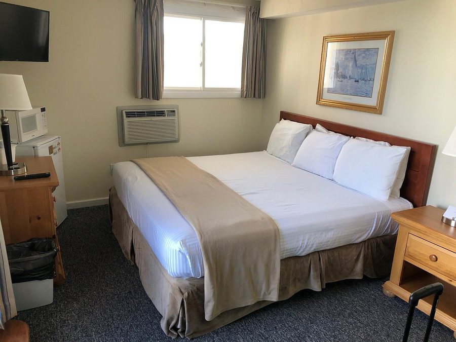 Sea Cliff House Motel — Guest room